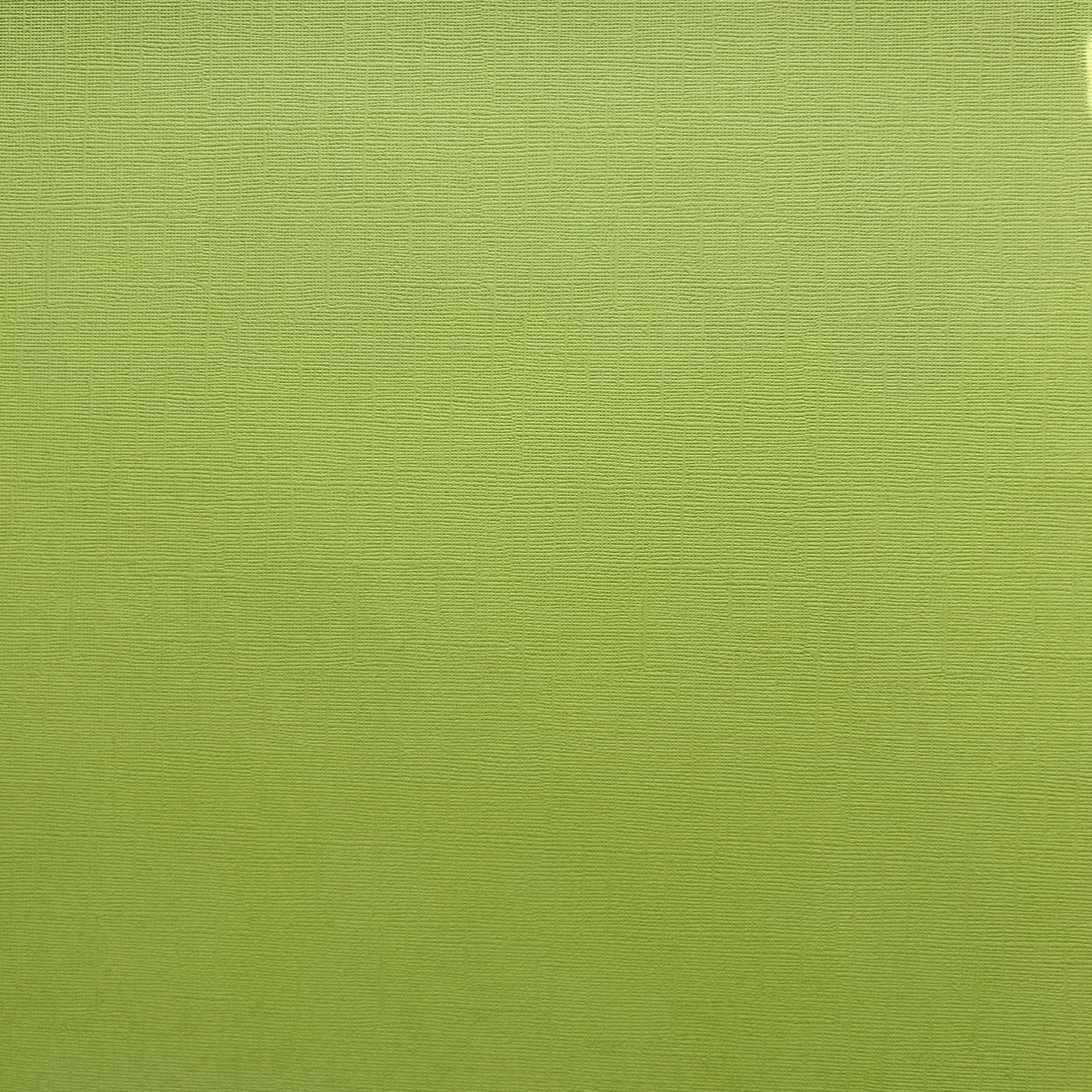 Encore Green Tomato bright green textured cardstock for Cricut cutting