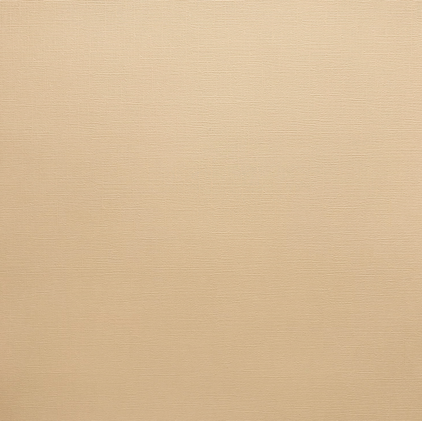 Encore Light Almond beige textured cardstock for Cricut cutting
