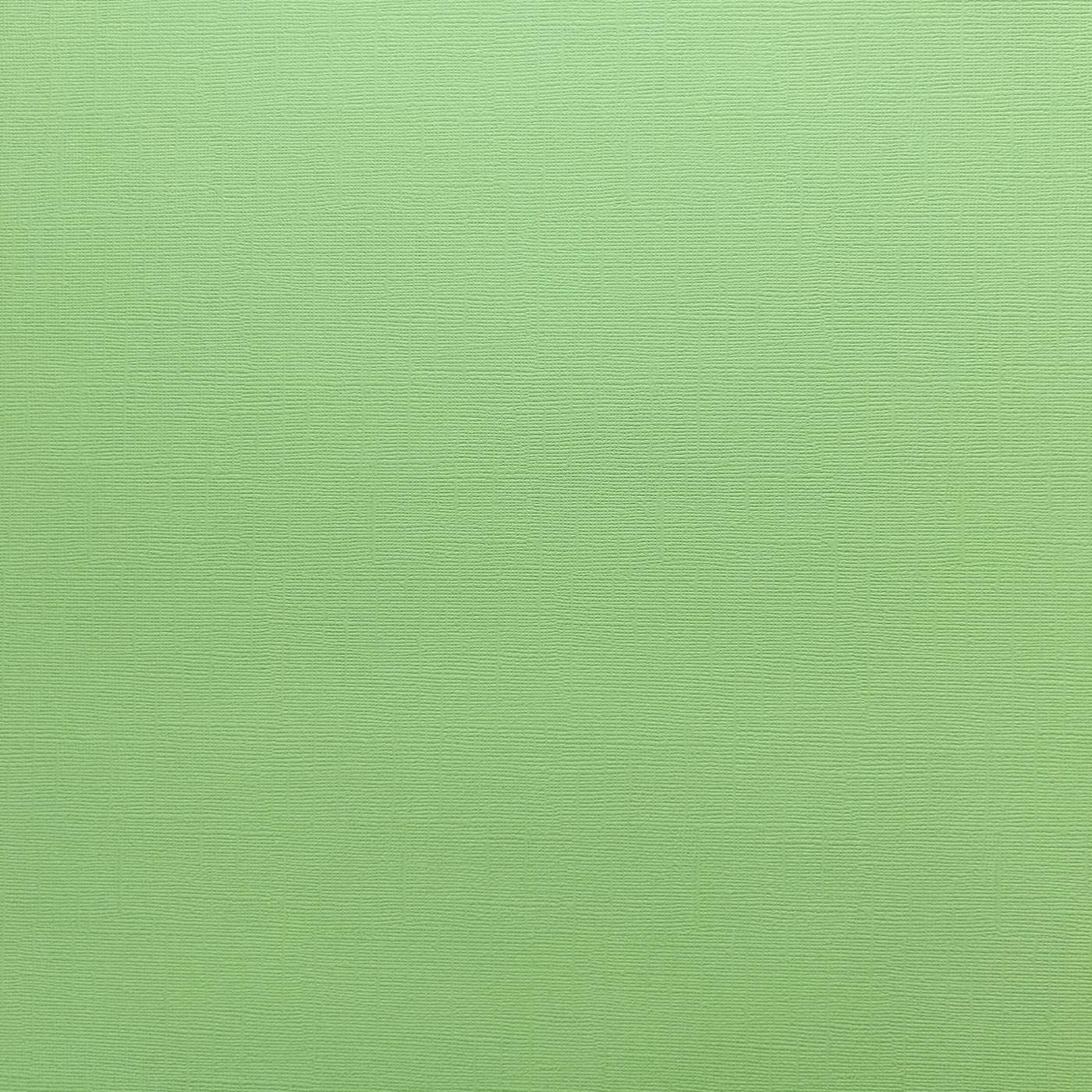 Encore Lime Sherbet pale green textured cardstock for Cricut cutting
