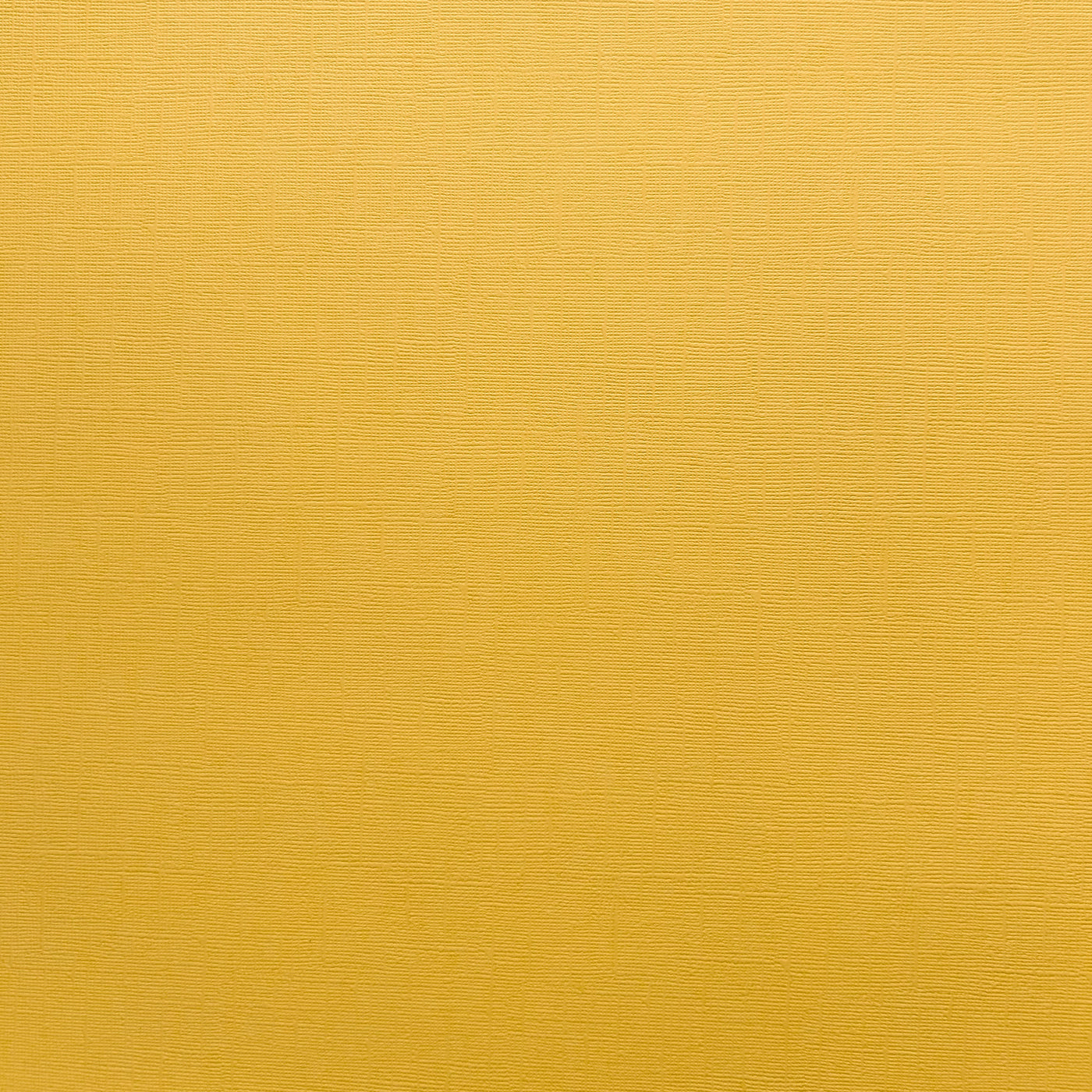 Encore Encore Maize yellow textured cardstock for Cricut cutting