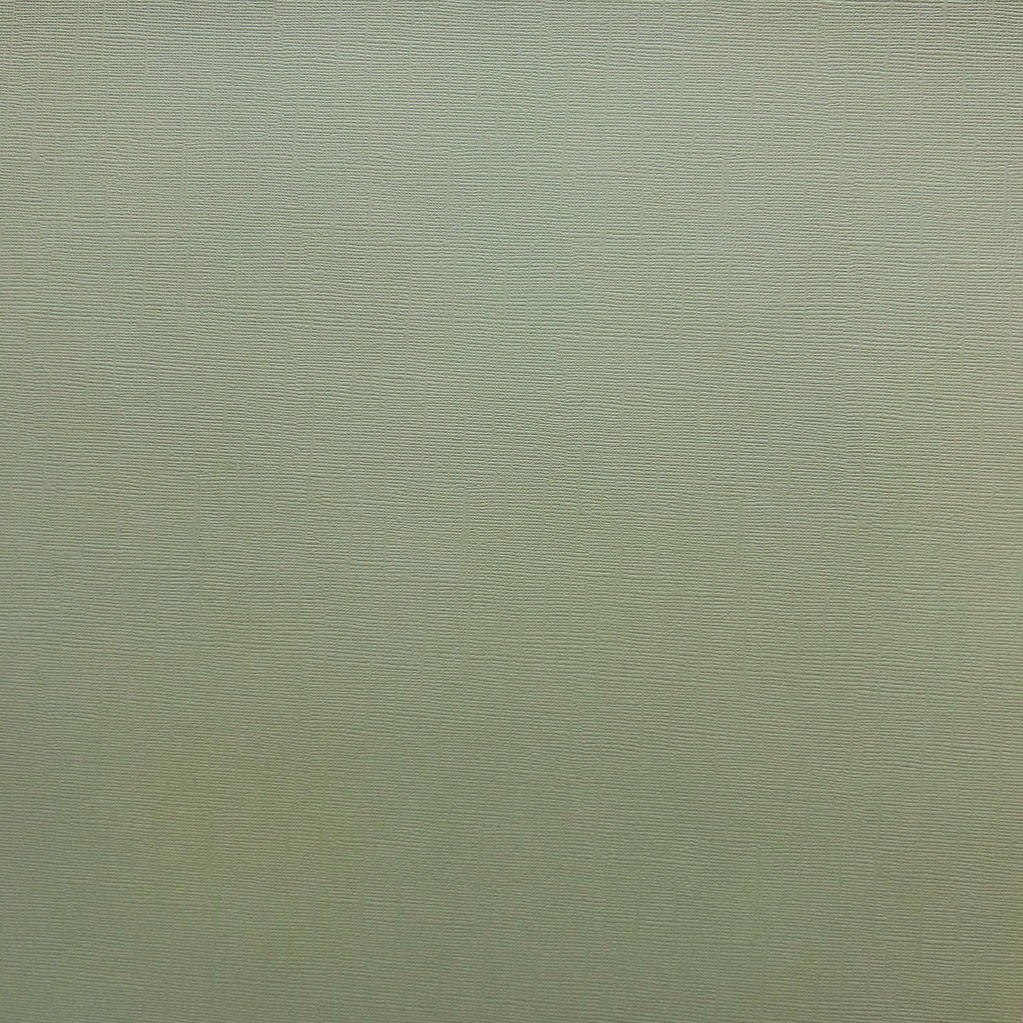 MEADOW 12x12 Textured Sage Green Cardstock - Encore Paper – The 12x12 ...