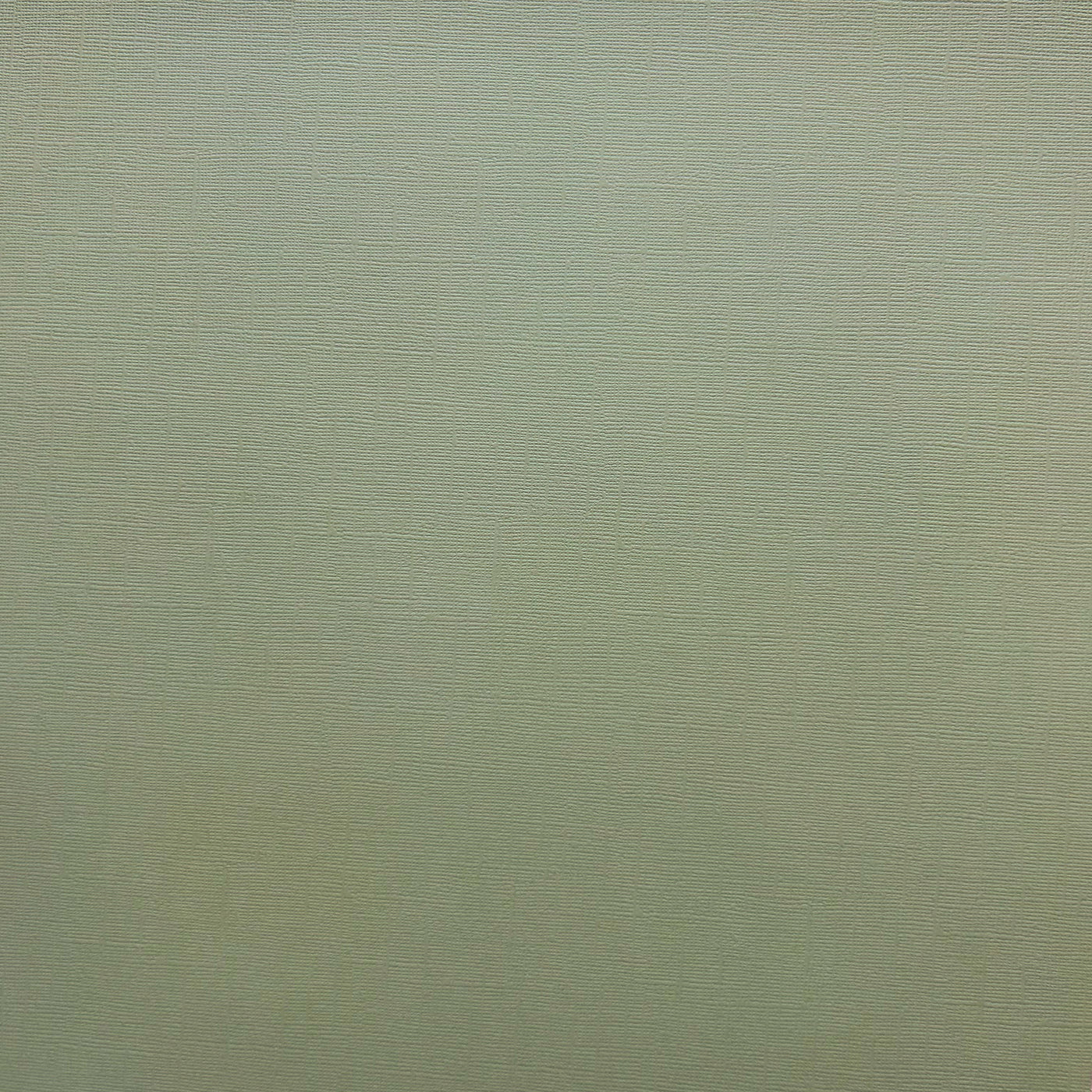 Encore Meadow sage green textured cardstock for Cricut cutting