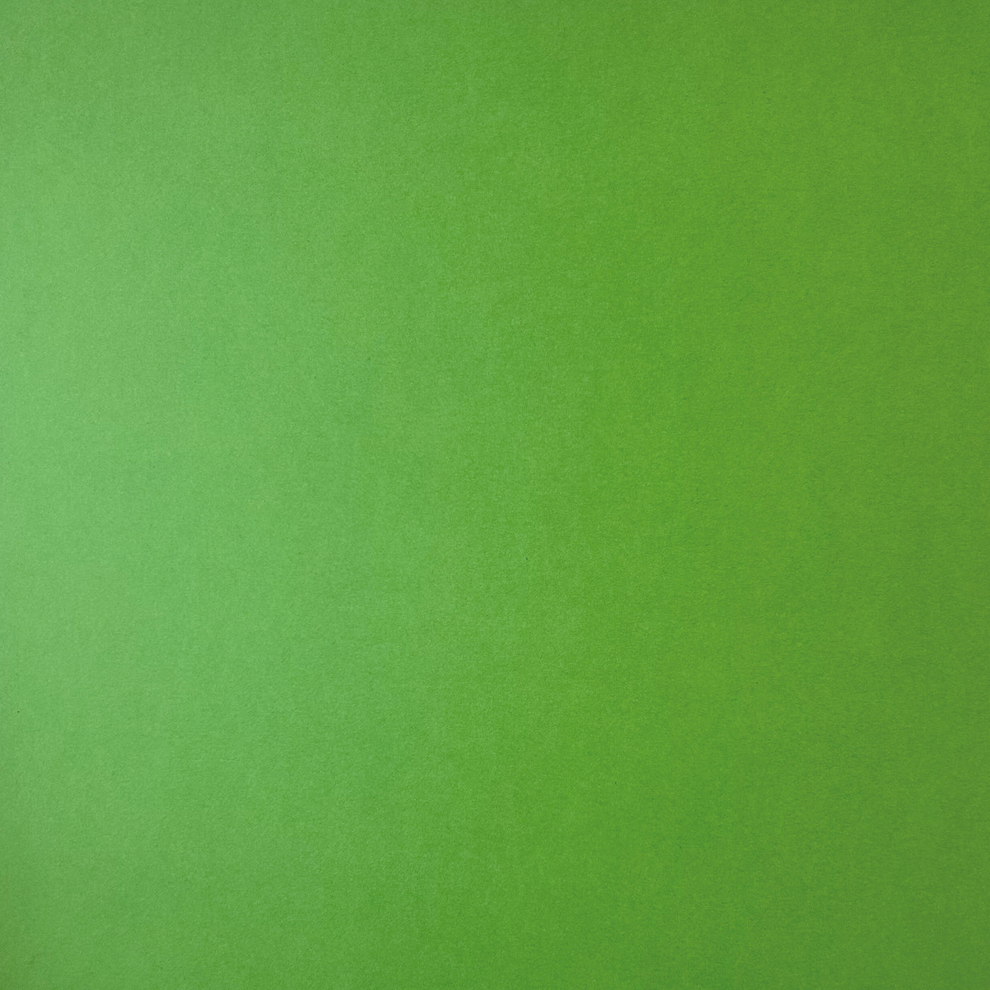 PARSLEY - Smooth 12x12 Cardstock - Encore Paper
