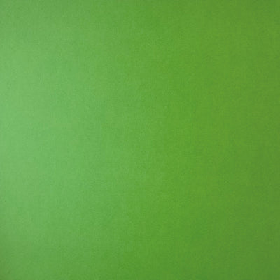 PARSLEY - Smooth 12x12 Cardstock - Encore Paper