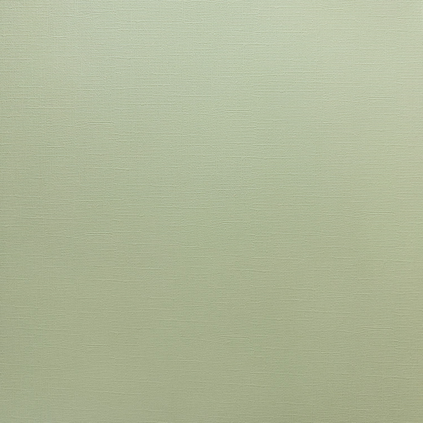 Encore Pistachio grey green textured cardstock for Cricut cutting