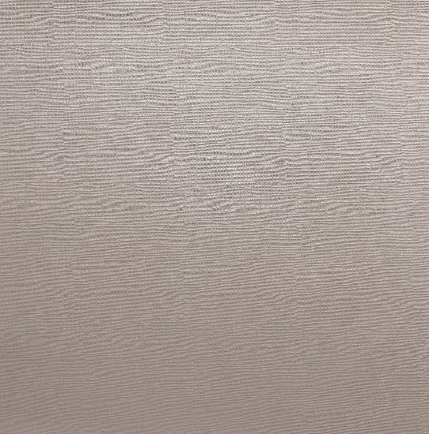 Encore Rainy Day warm grey textured cardstock for Cricut cutting