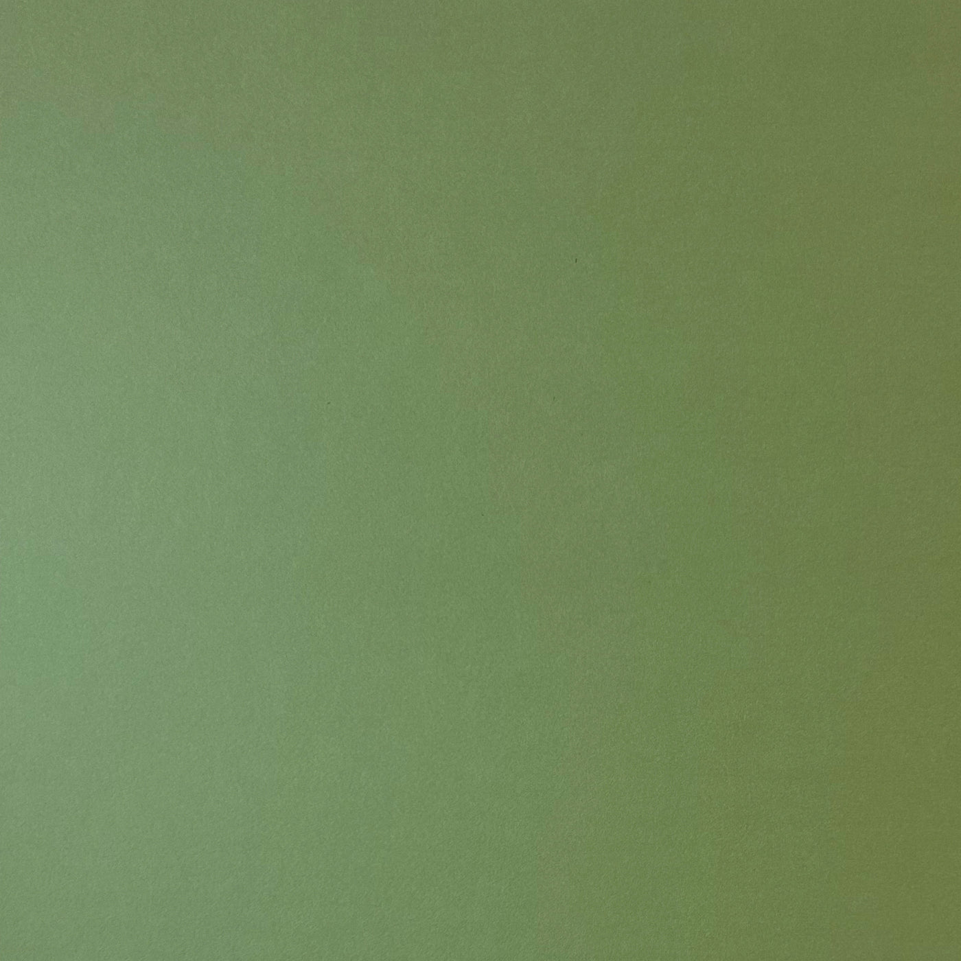 FOREST MOSS - Smooth 12x12 Cardstock - Encore Paper