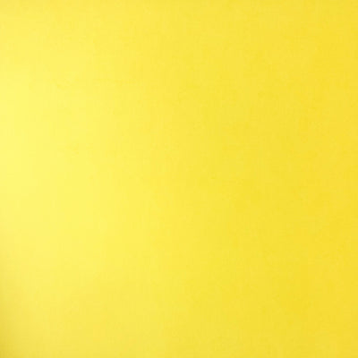 LEMON TWIST - Smooth 12x12 Cardstock - Encore Paper