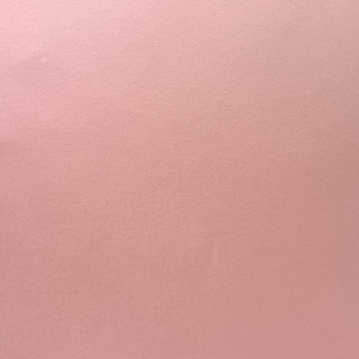PINK CHAMPAGNE- Smooth 12x12 Cardstock - Encore Paper