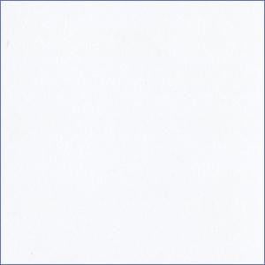 SNOWY WHITE - Smooth 12x12 Cardstock - Encore Paper