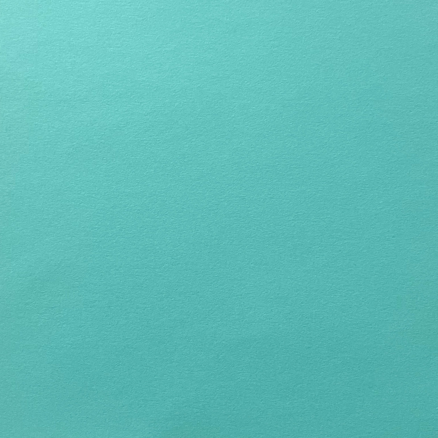 SWIMMING POOL - Smooth 12x12 Cardstock - Encore Paper