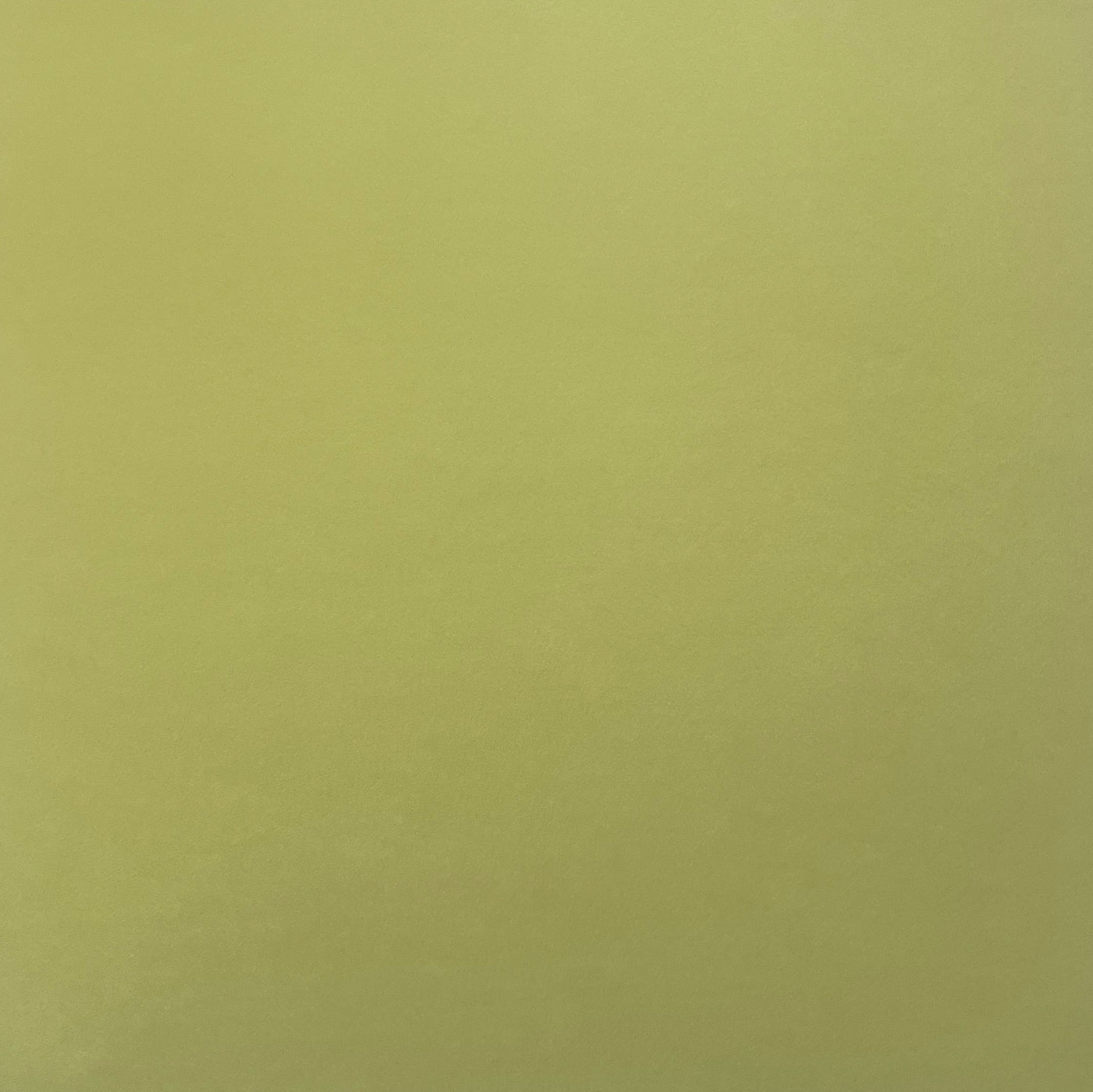 TEA GREEN - Smooth 12x12 Cardstock - Encore Paper