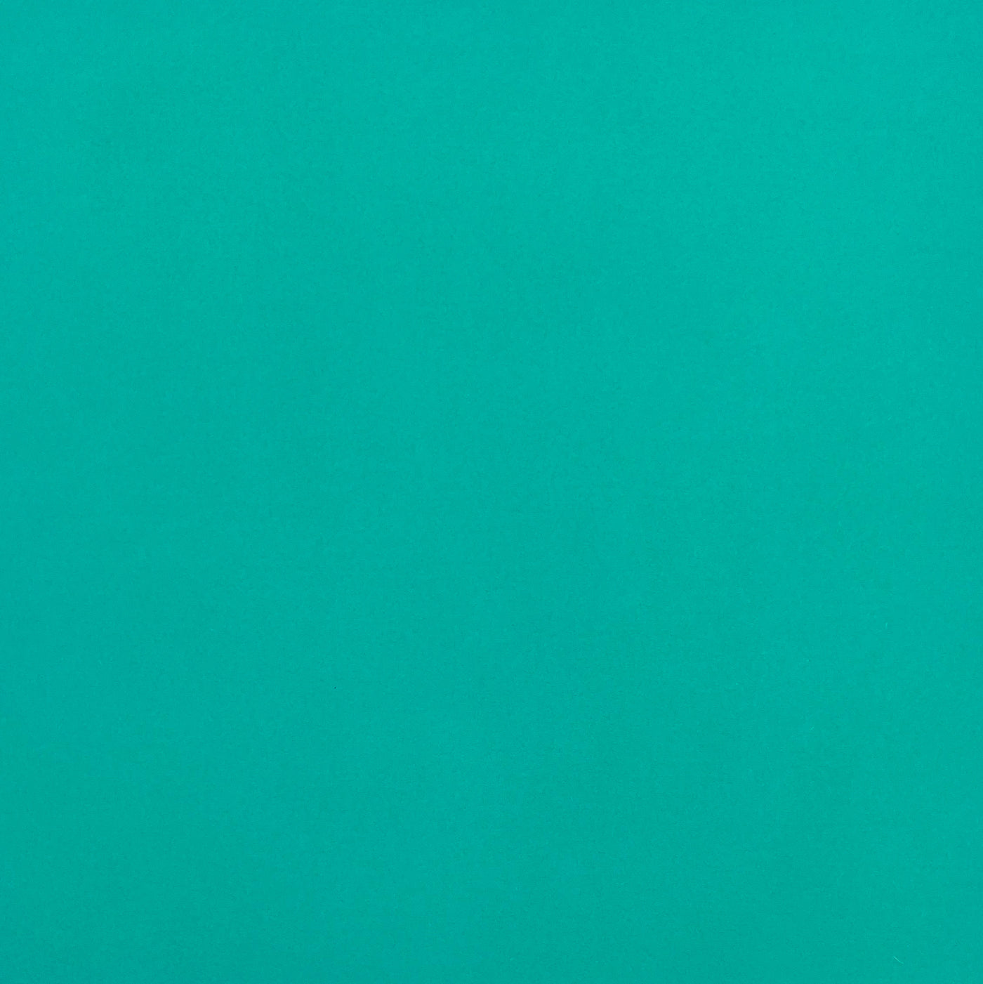 TURQUOISE NECKLACE - Smooth 12x12 Cardstock - Encore Paper
