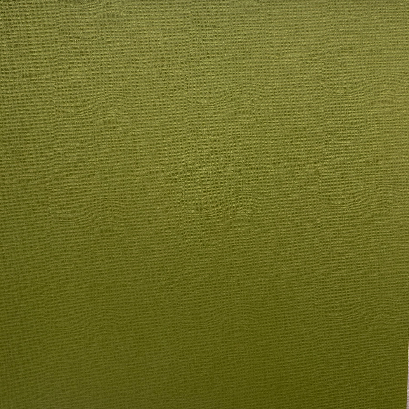 Encore Succulent olive green textured cardstock for Cricut cutting