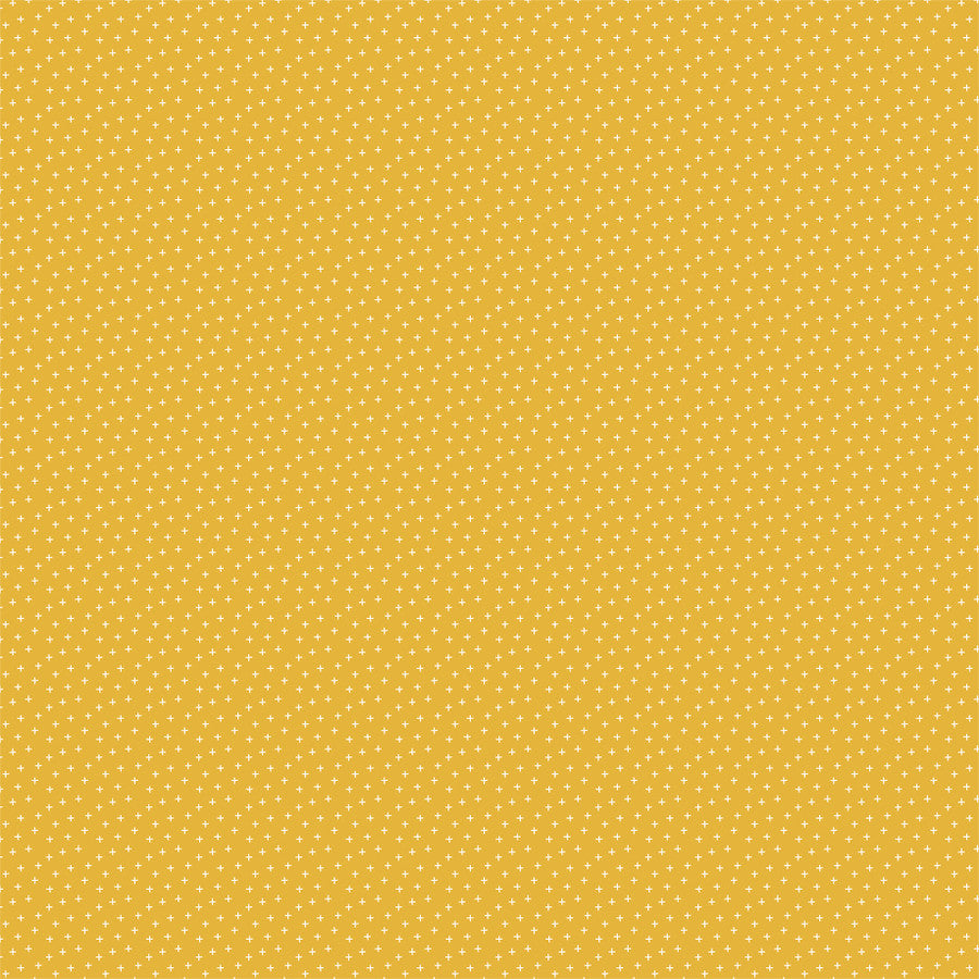 PLAID FEVER - 12x12 Double-Sided Patterned Paper - Echo Park