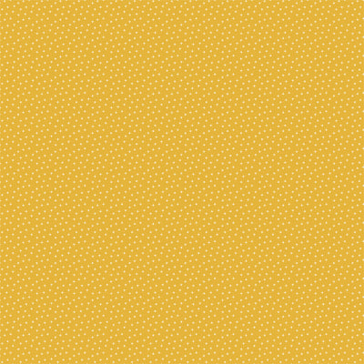 PLAID FEVER - 12x12 Double-Sided Patterned Paper - Echo Park