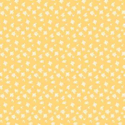 GOOD EGG - 12x12 Double-Sided Patterned Paper - Echo Park