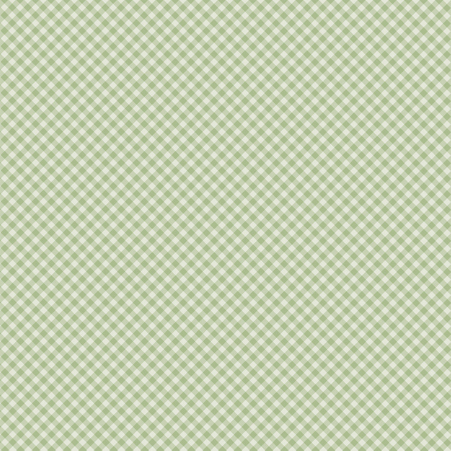 FAIRY TALE FRIENDS - 12x12 Double-Sided Patterned Paper - Echo Park