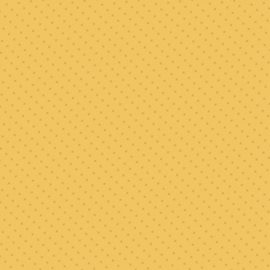 KEEP SHINING STEMS - 12x12 Double-Sided Patterned Paper - Echo Park