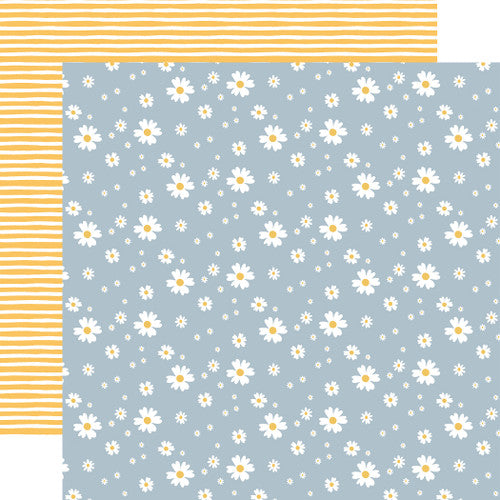FIREFLY 12x12 Collection Kit - Echo Park