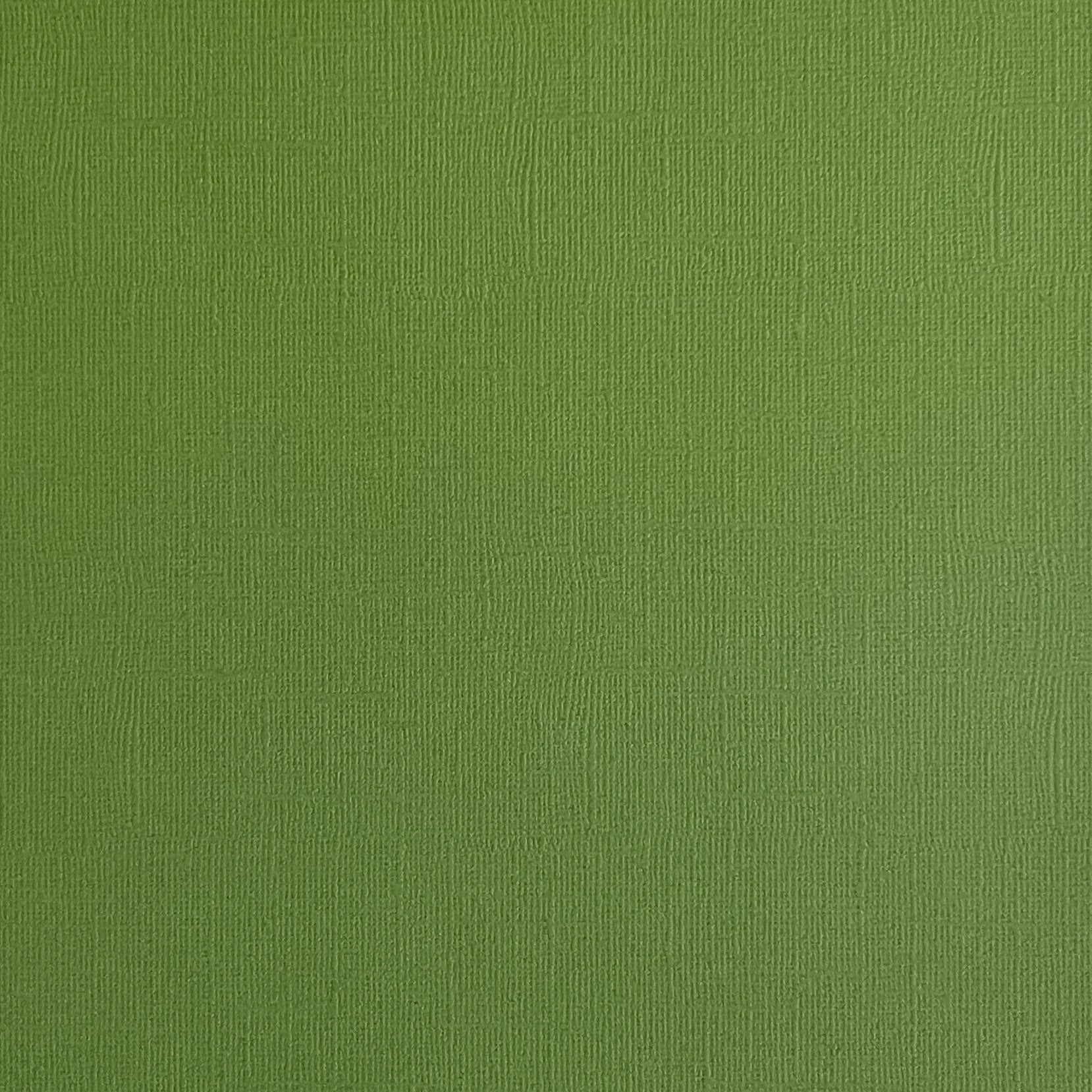 FOREST MOSS 12x12 Textured Olive Green Cardstock Encore Paper The