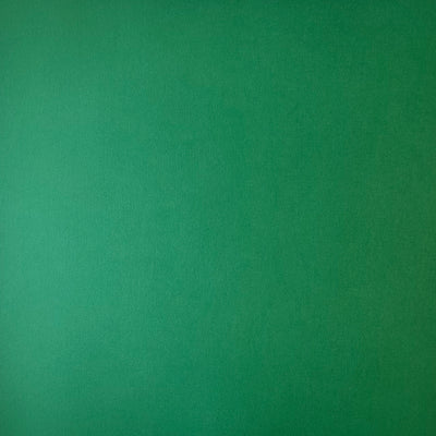 FOREST GREEN - Smooth 12x12 Cardstock - Encore Paper