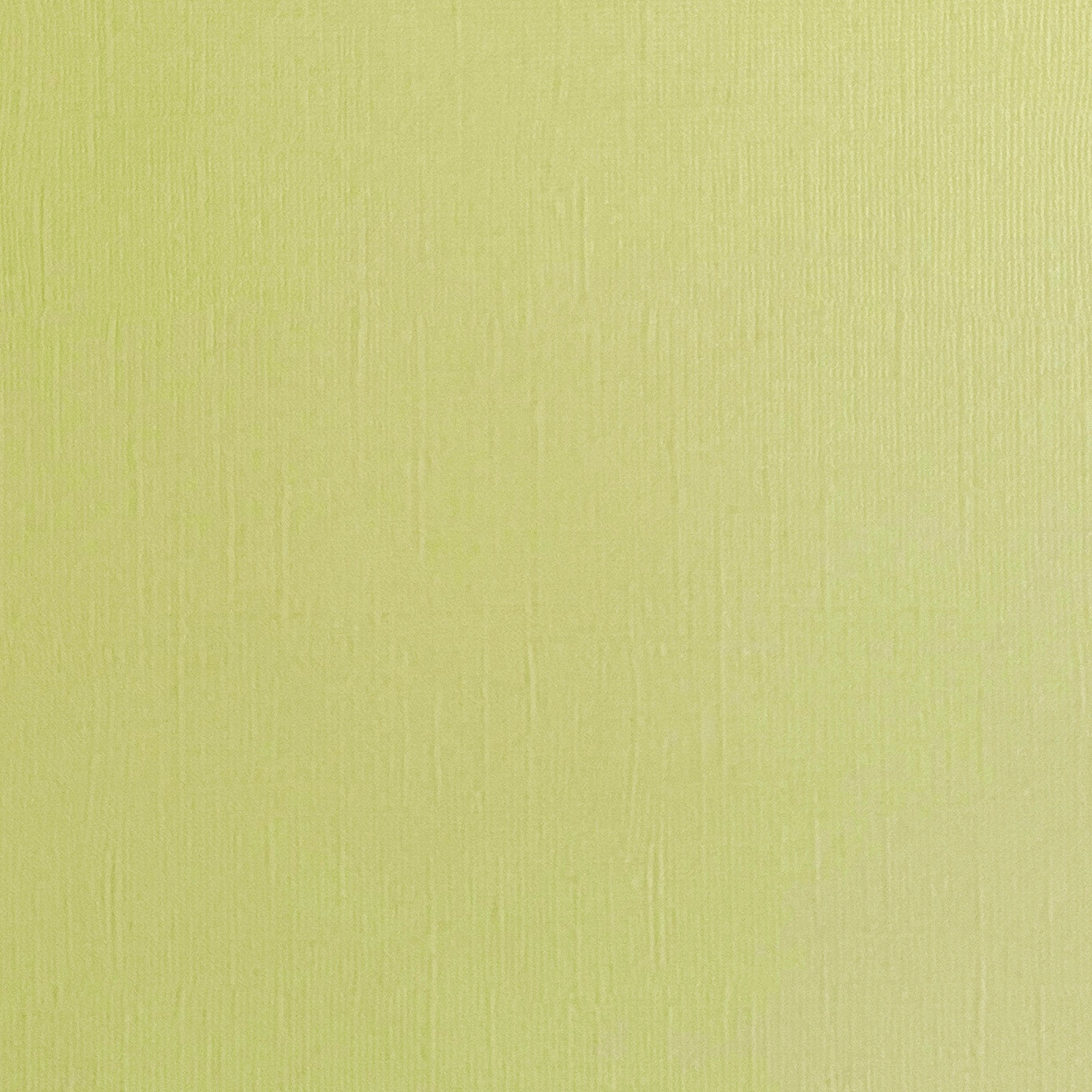 TEA GREEN 12x12 Textured Pale Green Cardstock - Encore Paper – The ...