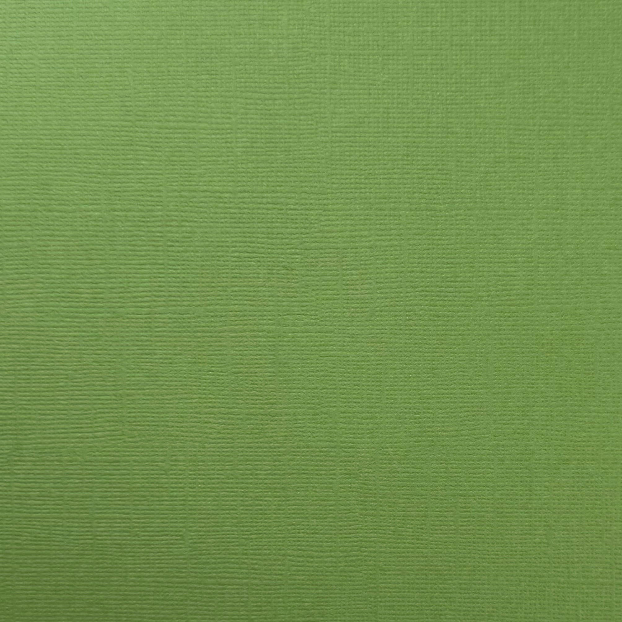 DESERT CACTUS 12x12 Textured Olive Green Cardstock - Encore Paper – The ...