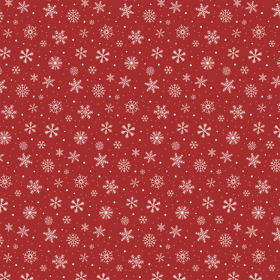 SNOWDAY - 12x12 Double-Sided Patterned Paper - Echo Park