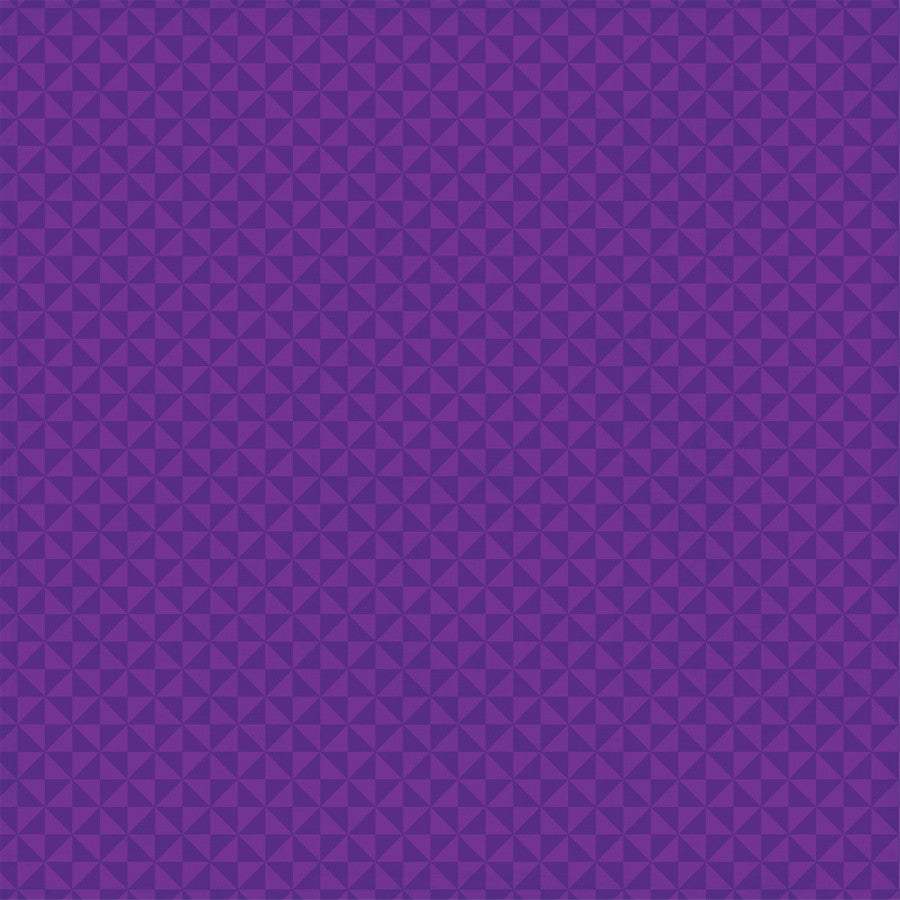 HAUNTING WEBS - 12x12 Double-Sided Patterned Paper - Echo Park