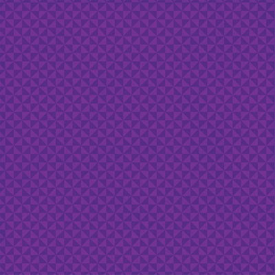 HAUNTING WEBS - 12x12 Double-Sided Patterned Paper - Echo Park