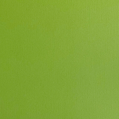 GRASSHOPPER - Textured 12x12 Cardstock - Encore Paper