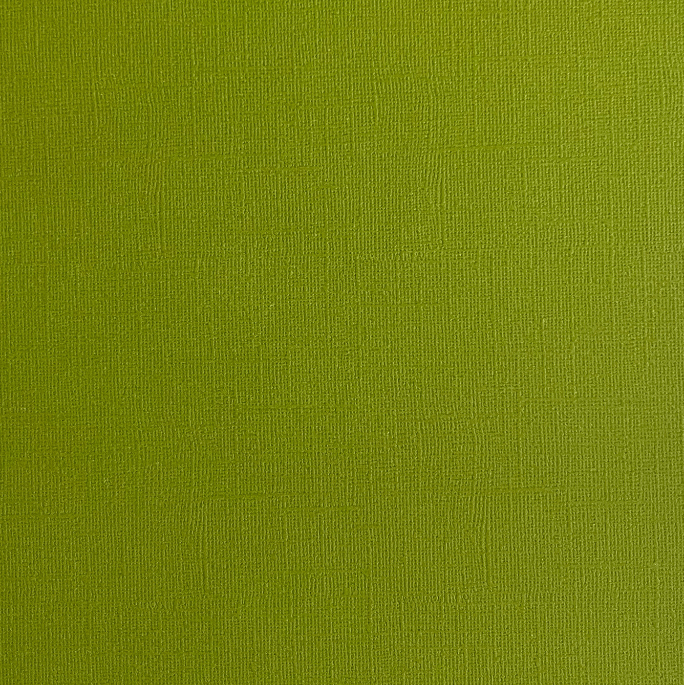 GREEN IGUANA - Bright Green Textured 12x12 Cardstock - Encore Paper