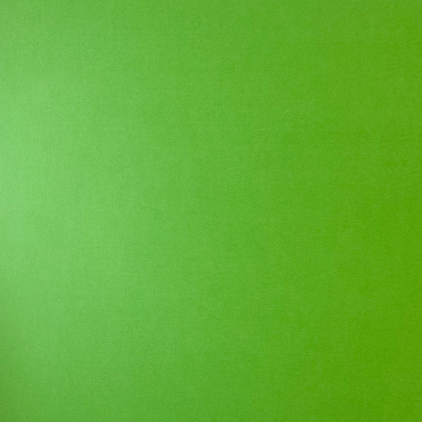 GRASSHOPPER - Smooth 12x12 Cardstock - Encore Paper