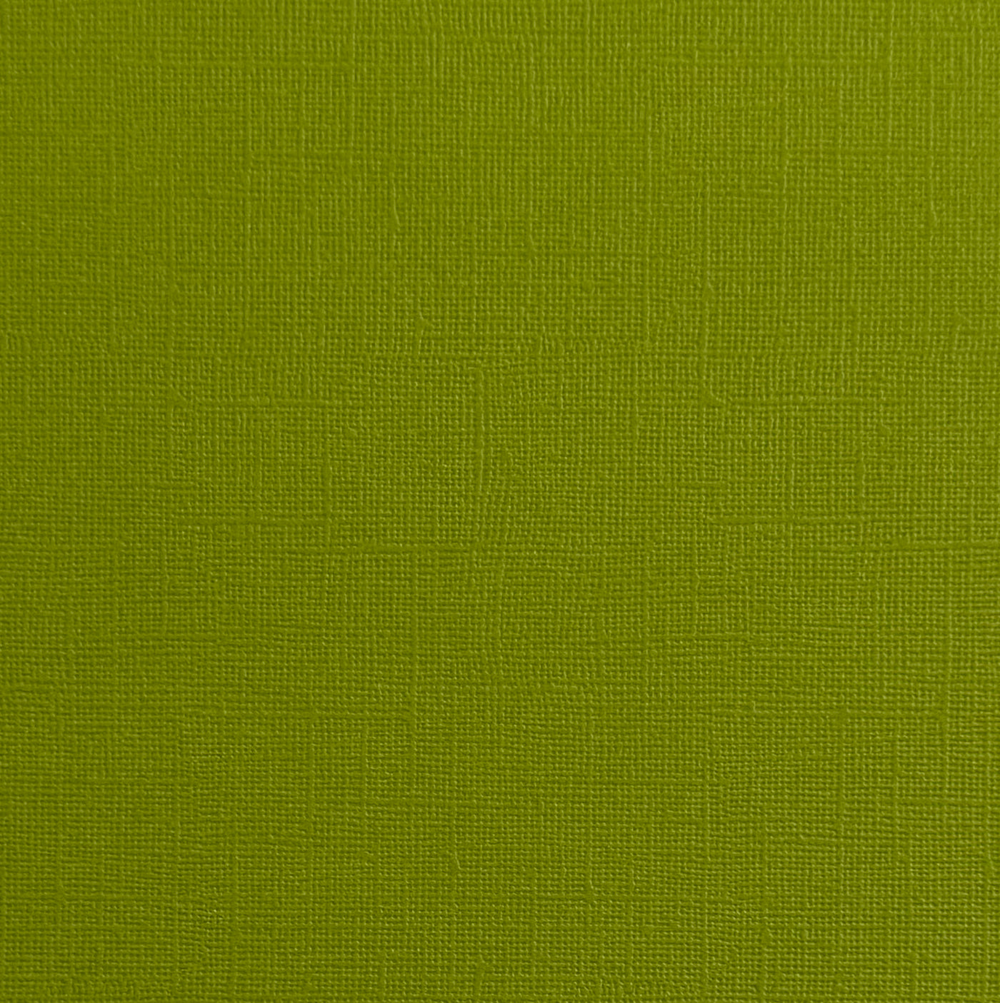 GREEN IGUANA - Bright Green Textured 12x12 Cardstock - Encore Paper