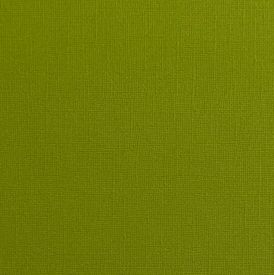 GREEN IGUANA - Bright Green Textured 12x12 Cardstock - Encore Paper