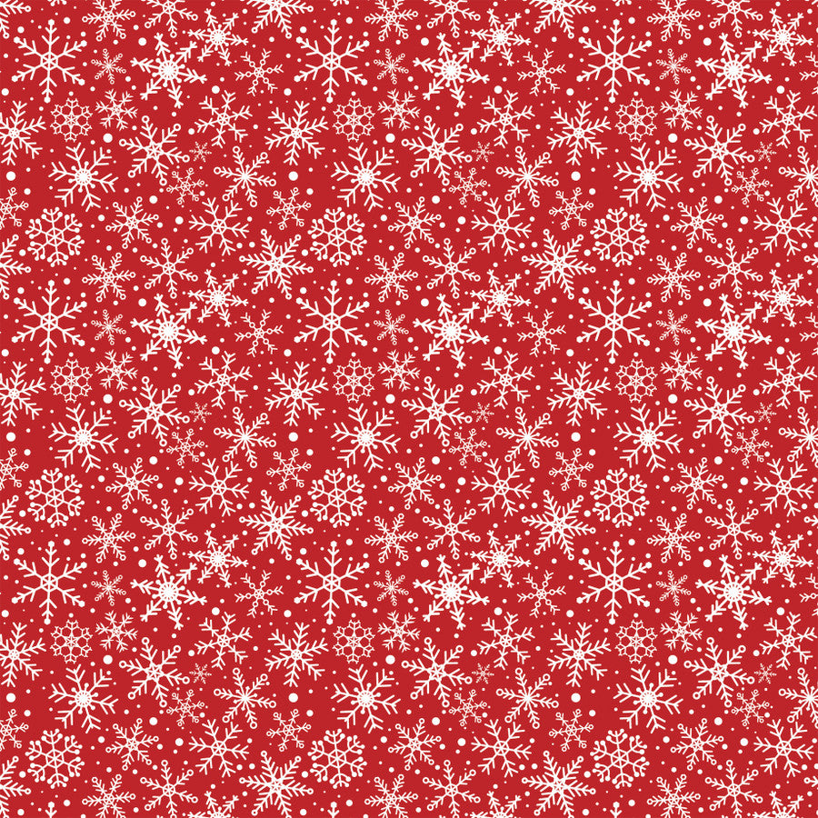 JOLLY SNOWFLAKES - 12x12 Double-Sided Patterned Paper - Echo Park