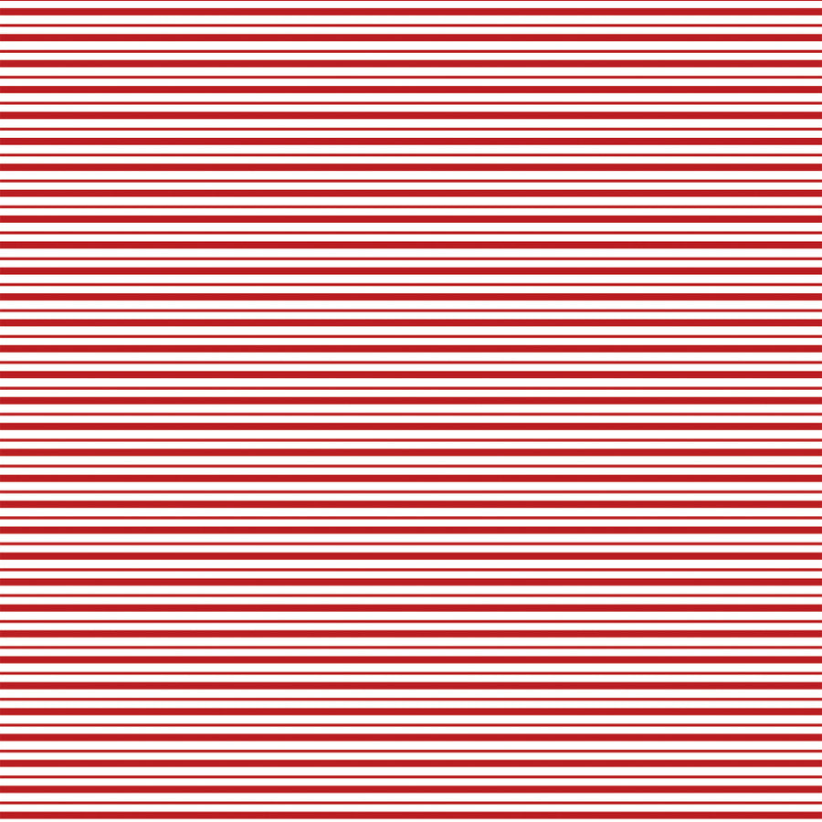 DASHING DEER - 12x12 Double-Sided Patterned Paper - Echo Park