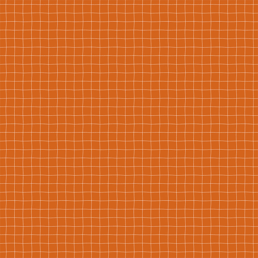 GLEAMING GUARDS - 12x12 Double-Sided Patterned Paper - Echo Park