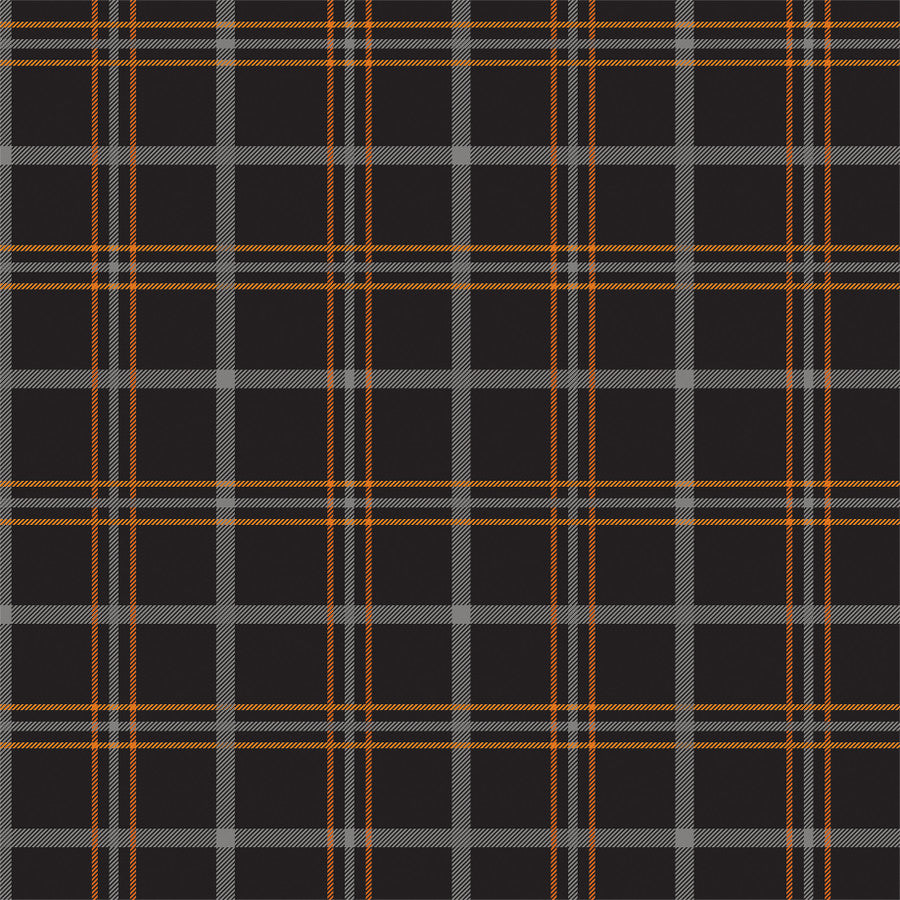 POTION PLAID - 12x12 Double-Sided Patterned Paper - Echo Park