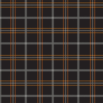POTION PLAID - 12x12 Double-Sided Patterned Paper - Echo Park