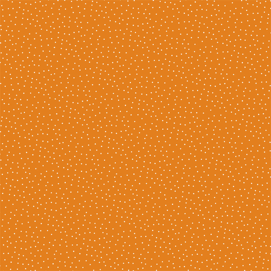 POTION PLAID - 12x12 Double-Sided Patterned Paper - Echo Park