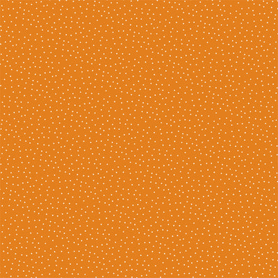 POTION PLAID - 12x12 Double-Sided Patterned Paper - Echo Park