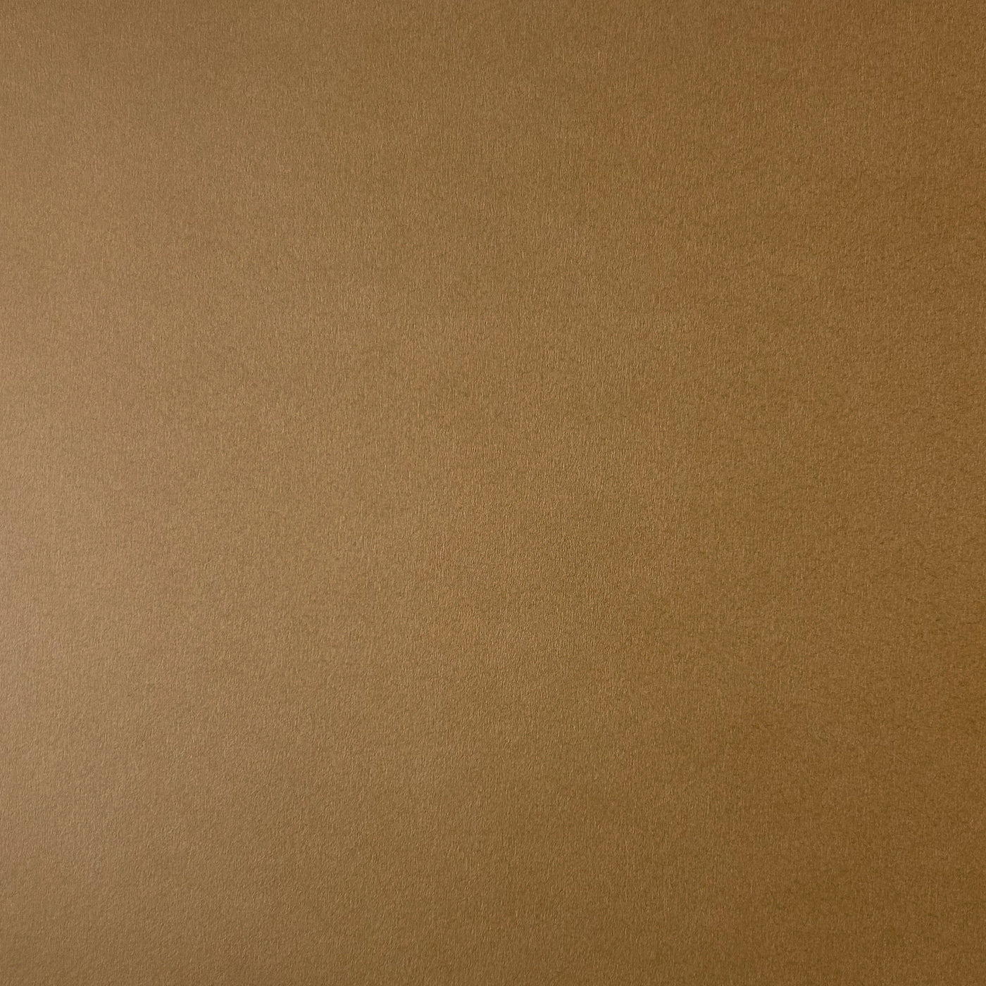 HAZELNUT - Smooth 12x12 Cardstock - Encore Paper