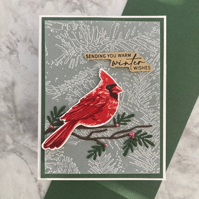 HUNTER GREEN - Textured 12x12 Cardstock - Encore Paper