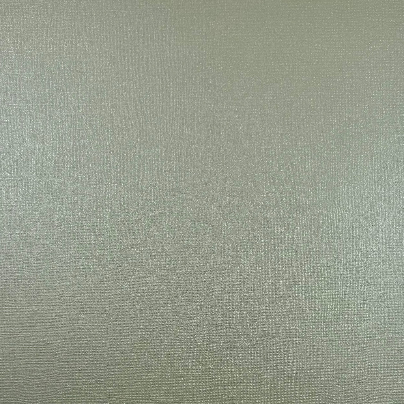 MINT CHOCOLATE CHIP - 12x12 Textured Pearlescent Cardstock - Encore Shimmer