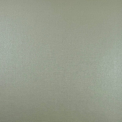 MINT CHOCOLATE CHIP - 12x12 Textured Pearlescent Cardstock - Encore Shimmer