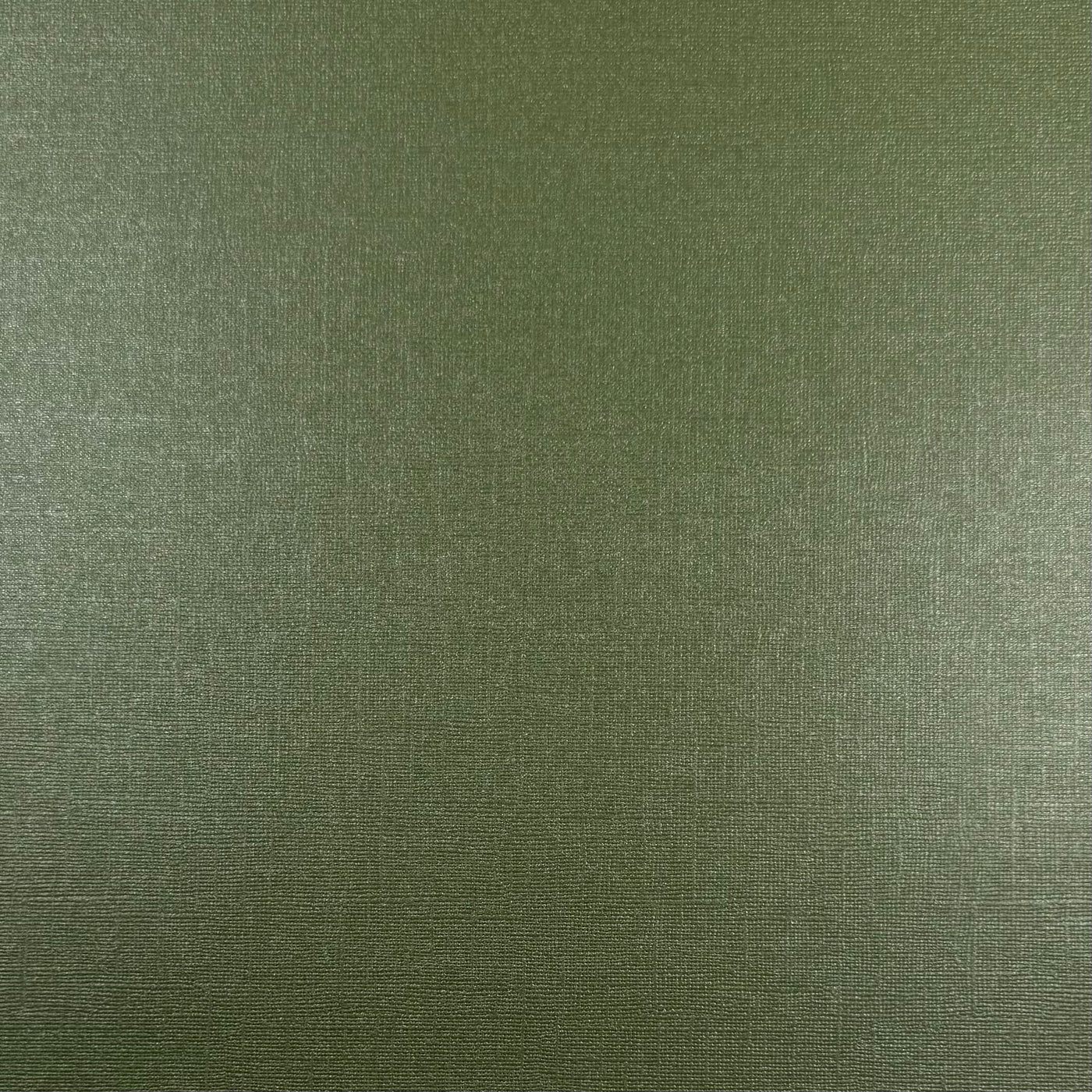 GOOD FORTUNE - 12x12 Textured Pearlescent Cardstock - Encore Shimmer