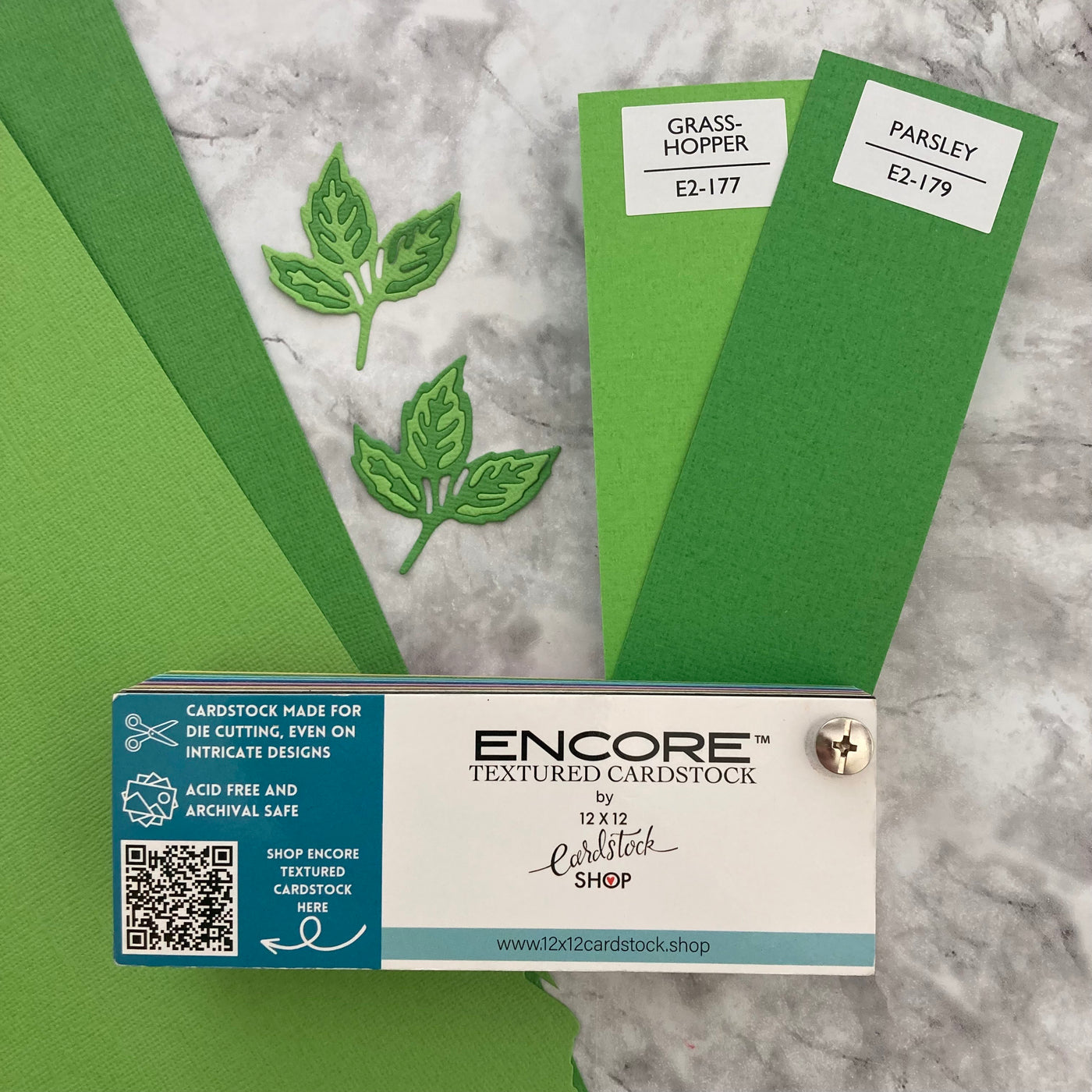 GRASSHOPPER - Textured 12x12 Cardstock - Encore Paper
