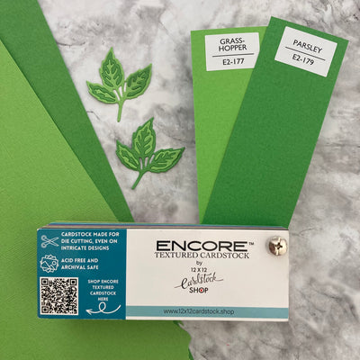 GRASSHOPPER - Textured 12x12 Cardstock - Encore Paper